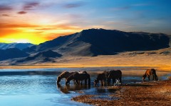 Desktop wallpaper. Nature. ID:29171