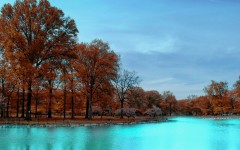 Desktop wallpaper. Nature. ID:29173