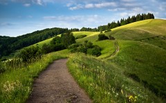Desktop image. Nature. ID:50316