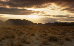 Desktop wallpaper. Nature. ID:29228