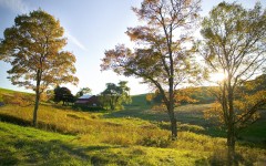 Desktop wallpaper. Nature. ID:29229