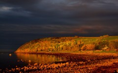 Desktop image. Nature. ID:50375