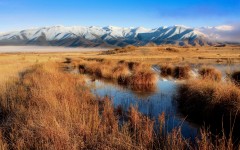 Desktop wallpaper. Nature. ID:29242