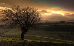 Desktop wallpaper. Nature. ID:29244