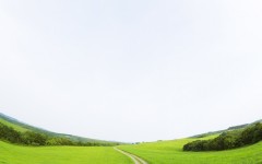 Desktop wallpaper. Nature. ID:29253