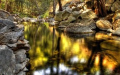 Desktop wallpaper. Nature. ID:29269