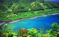 Desktop wallpaper. Nature. ID:29283