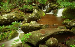 Desktop wallpaper. Nature. ID:29297