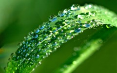 Desktop wallpaper. Nature. ID:29298