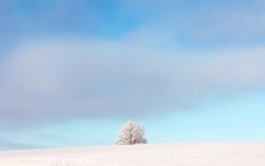 Desktop wallpaper. Nature. ID:50147