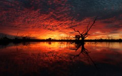 Desktop wallpaper. Nature. ID:50390