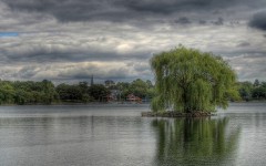 Desktop wallpaper. Nature. ID:29318
