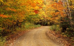 Desktop wallpaper. Nature. ID:29330