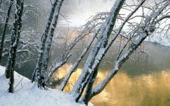 Desktop wallpaper. Nature. ID:29336