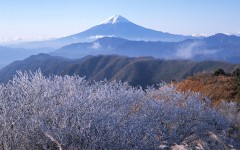 Desktop wallpaper. Nature. ID:29337