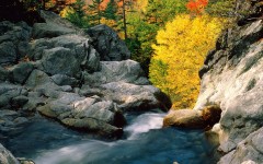 Desktop wallpaper. Nature. ID:29340