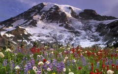 Desktop wallpaper. Nature. ID:29356