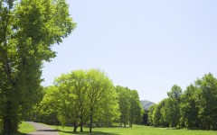 Desktop wallpaper. Nature. ID:29364