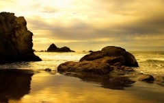 Desktop image. Nature. ID:29365