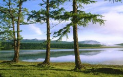 Desktop image. Nature. ID:29366