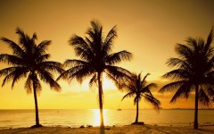 Desktop wallpaper. Nature. ID:29368