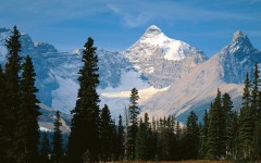 Desktop wallpaper. Nature. ID:29370