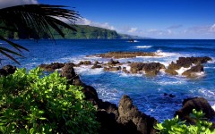Desktop wallpaper. Nature. ID:29371