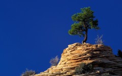 Desktop wallpaper. Nature. ID:50418