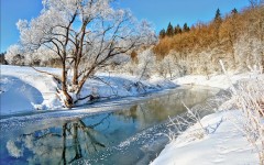 Desktop wallpaper. Nature. ID:50422