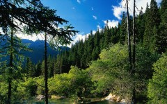 Desktop wallpaper. Nature. ID:29374