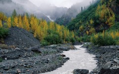 Desktop wallpaper. Nature. ID:29388