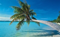 Desktop wallpaper. Nature. ID:29389