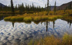 Desktop wallpaper. Nature. ID:29392