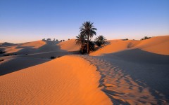 Desktop wallpaper. Nature. ID:29394