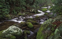 Desktop wallpaper. Nature. ID:29395