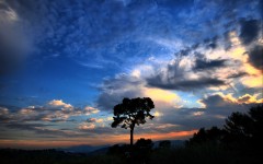 Desktop wallpaper. Nature. ID:29397