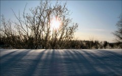 Desktop wallpaper. Nature. ID:29398