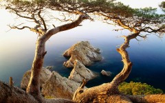 Desktop wallpaper. Nature. ID:29402