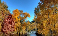 Desktop wallpaper. Nature. ID:29416