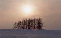 Desktop wallpaper. Nature. ID:29420