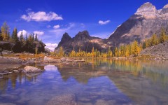 Desktop wallpaper. Nature. ID:29429