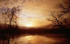 Desktop wallpaper. Nature. ID:29431