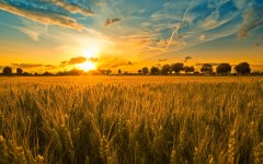 Desktop wallpaper. Nature. ID:29437