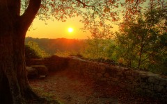 Desktop wallpaper. Nature. ID:29448