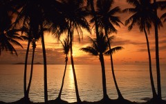 Desktop wallpaper. Nature. ID:29450