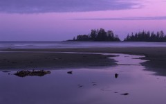 Desktop wallpaper. Nature. ID:29453
