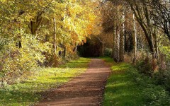 Desktop wallpaper. Nature. ID:29460