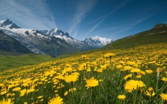 Desktop wallpaper. Nature. ID:50460