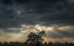 Desktop wallpaper. Nature. ID:29469