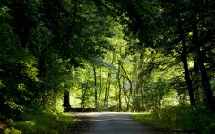 Desktop wallpaper. Nature. ID:29471